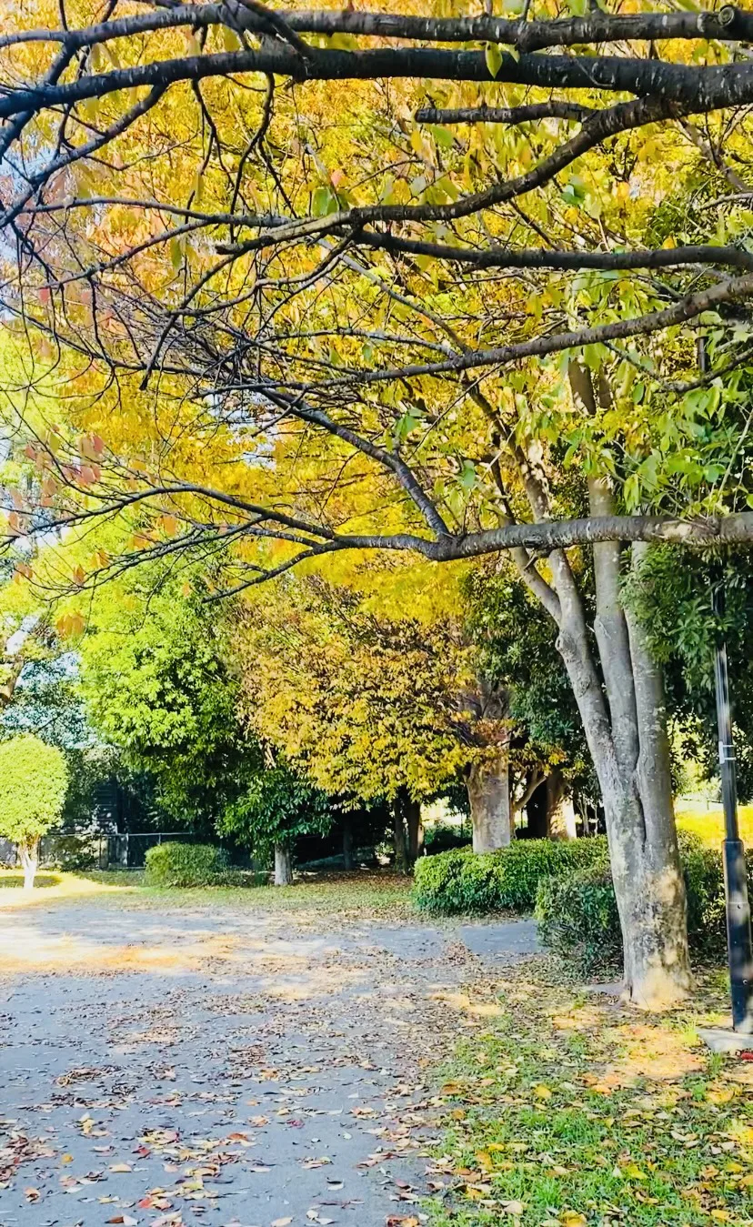 “The Autumn That Changed Me: as a Mom”