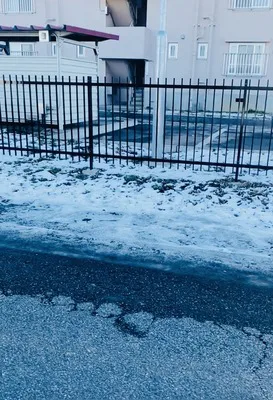 Things made Small Joy in me lately