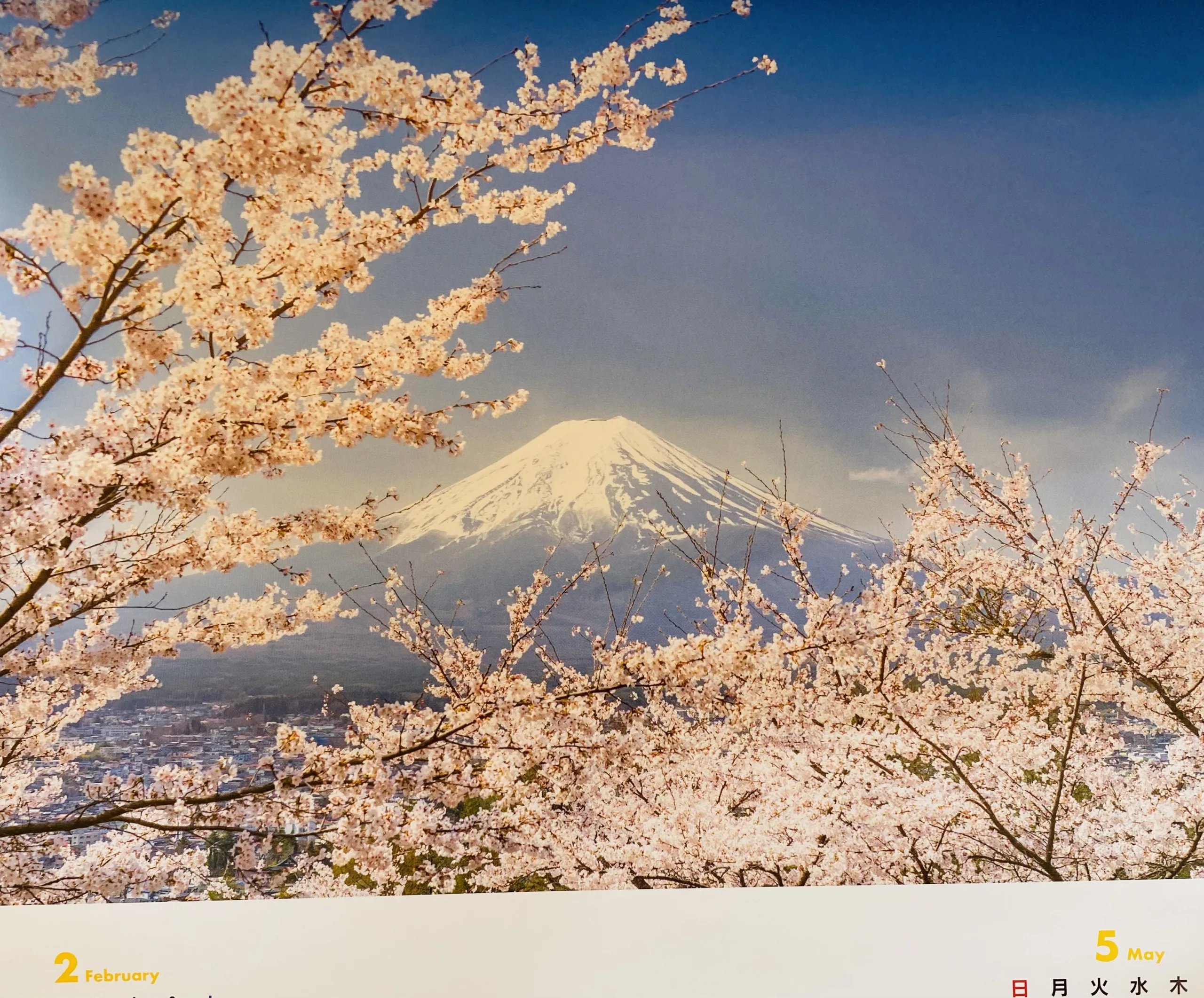 Monthly Beauty on My Wall